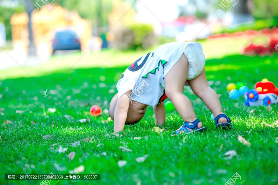 草地上的婴幼儿