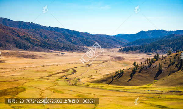 新疆喀纳斯草原秋景