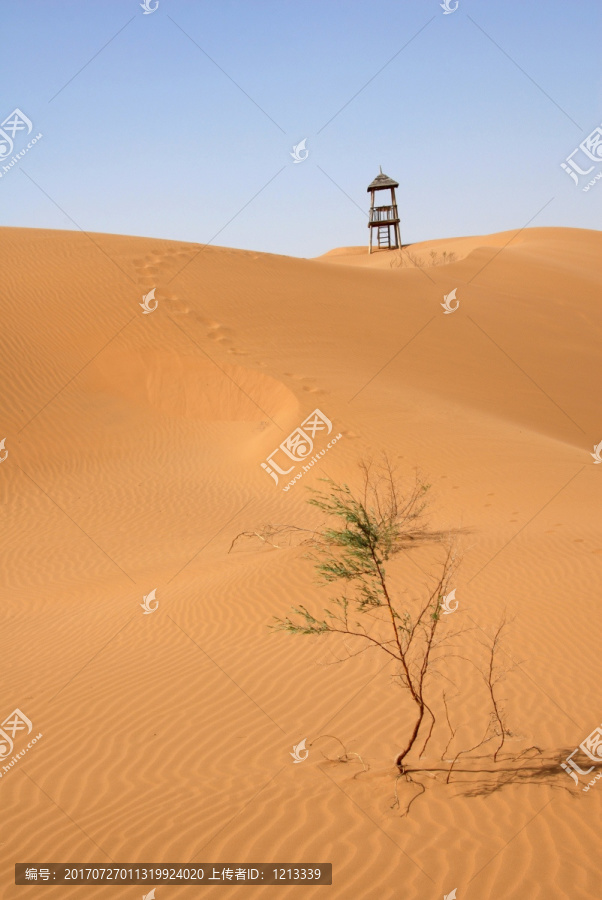 沙漠,沙波头