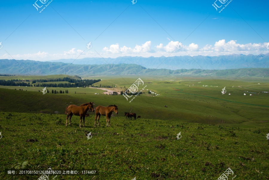 新疆那拉提草原