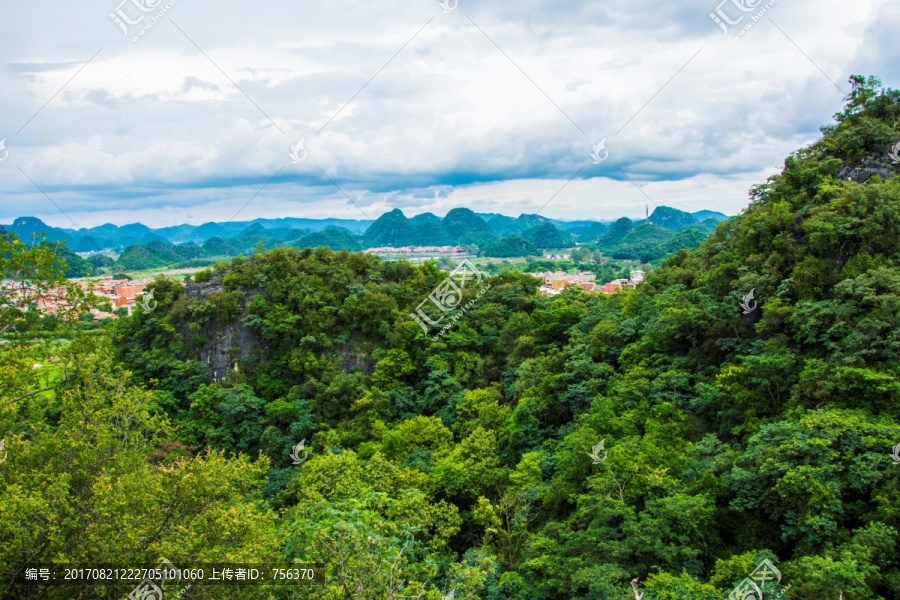 树林,丘陵