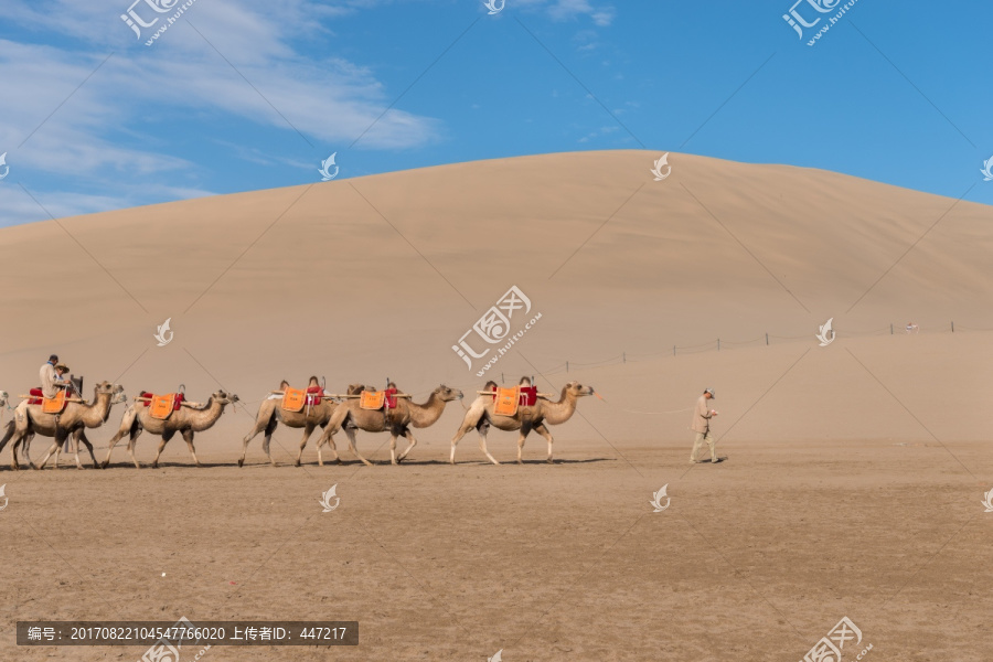 鸣沙山骆驼队