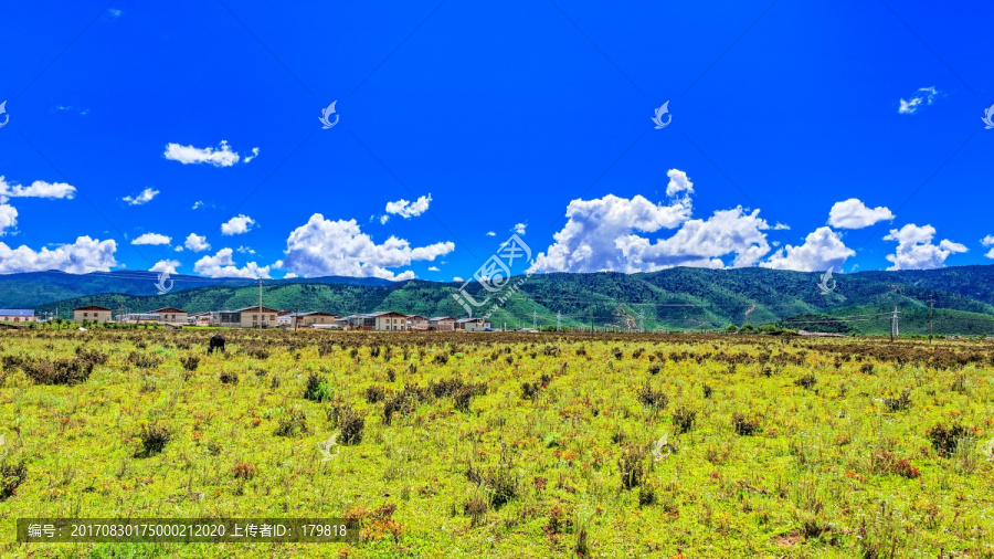 高山牧场,香格里拉