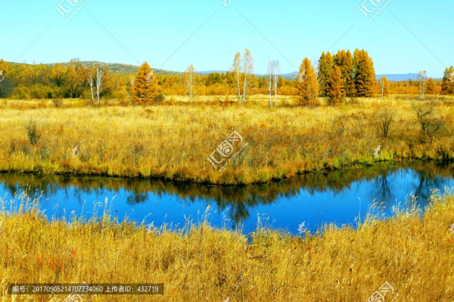秋季森林湿地