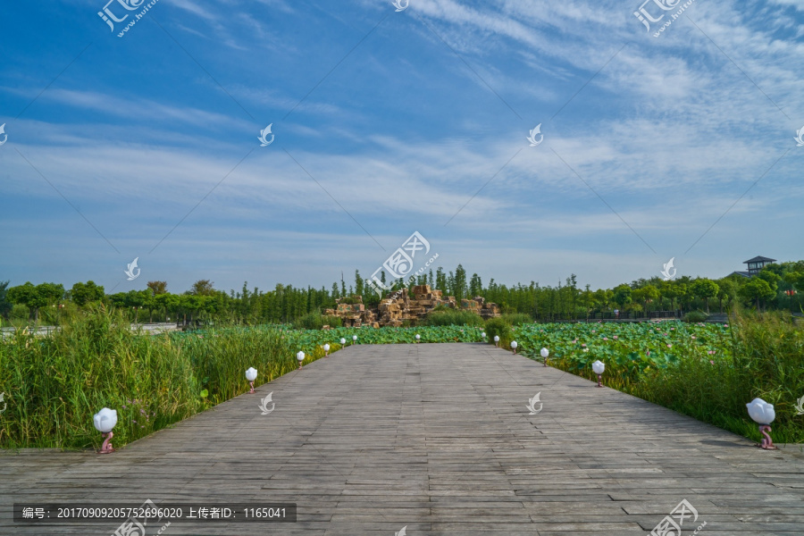 潘安湖湿地,高清大画幅