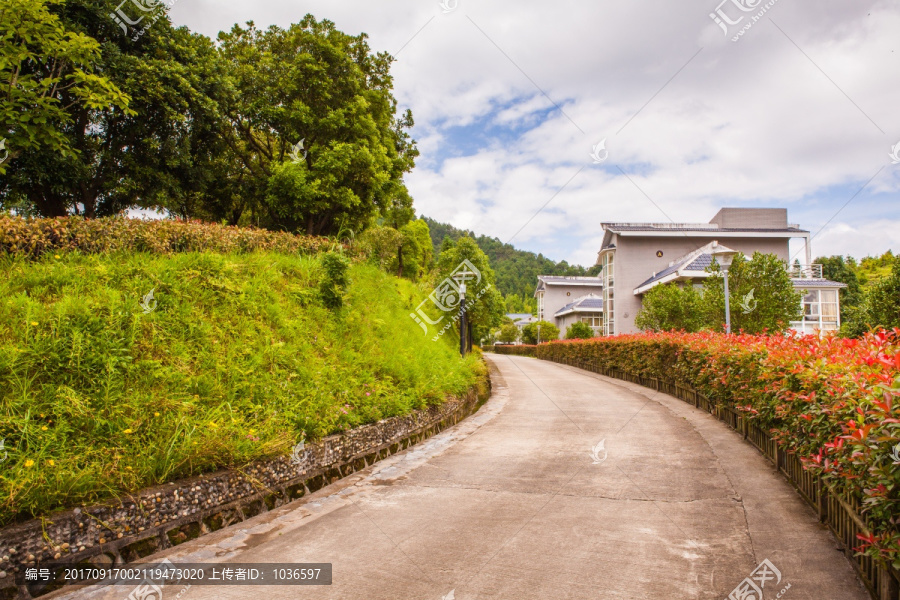 古田山庄别墅区小路