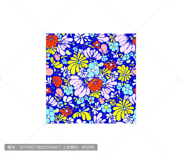矢量翠花