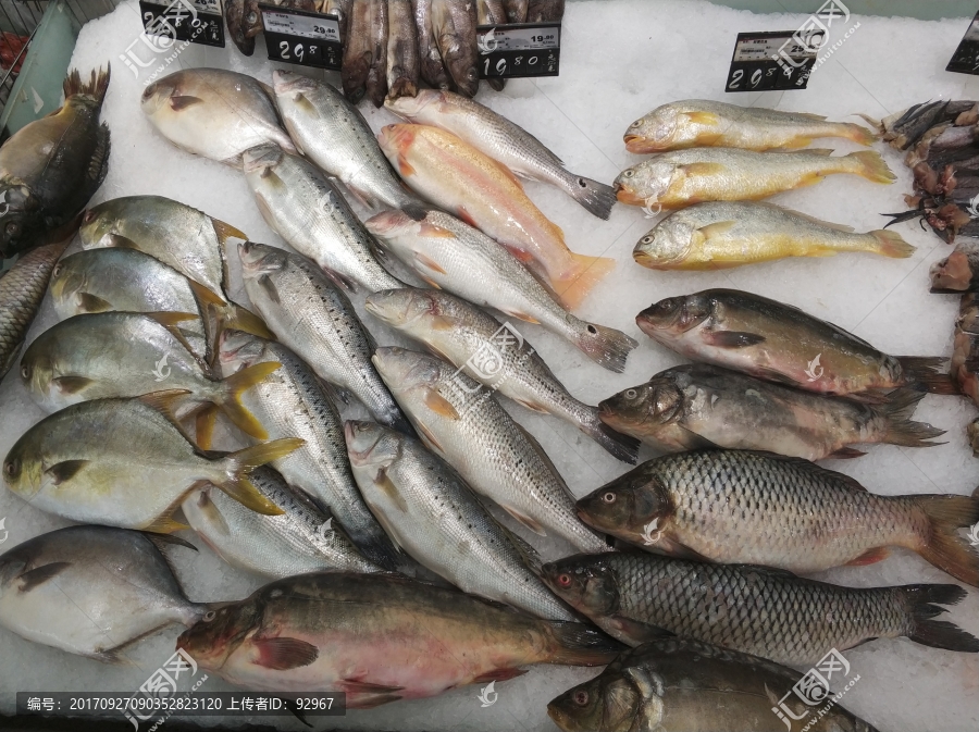超市水产鱼类
