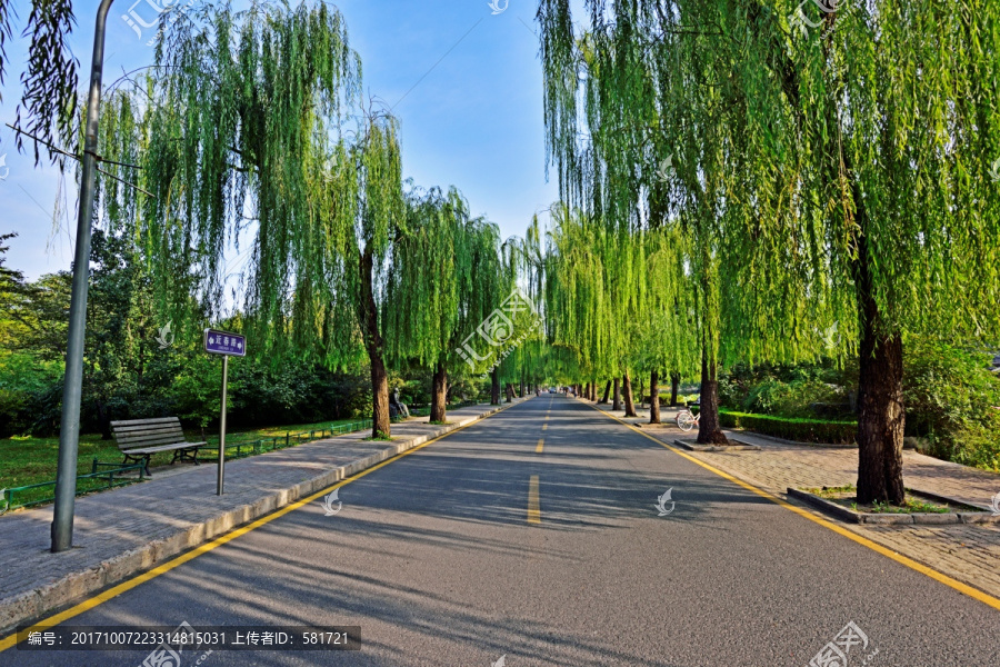 清华大学清华路