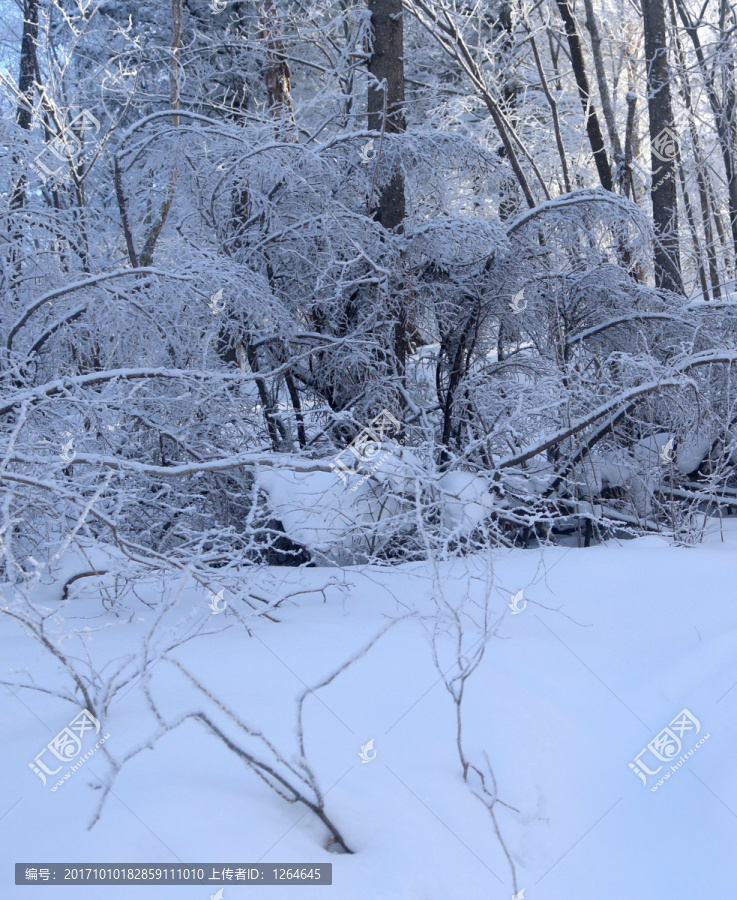 雪乡,雪乡风景,中国雪乡