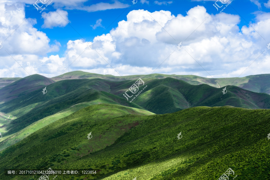 久治高原风光