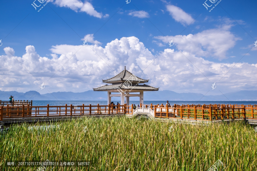 云南抚仙湖湿地栈道