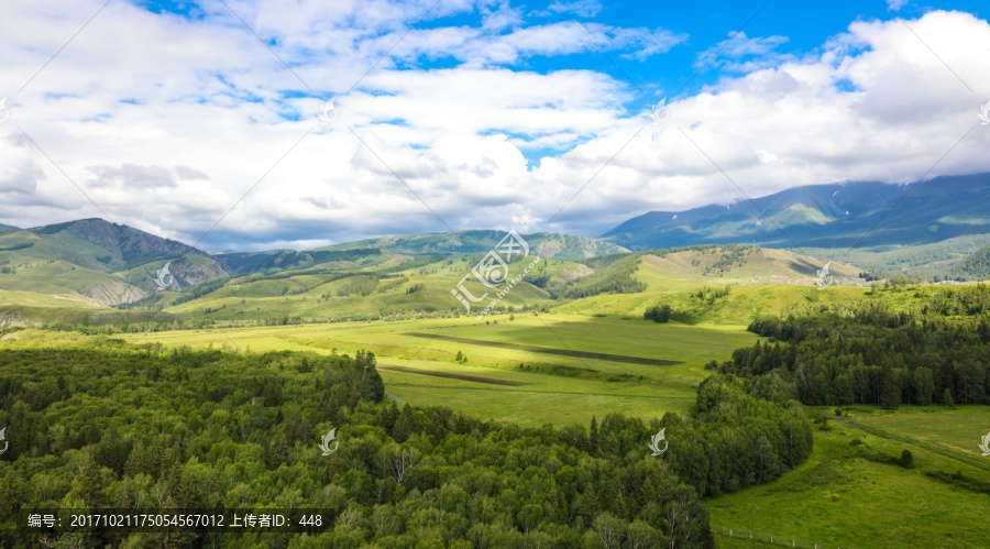 新疆旅游,高原草原,森林植被