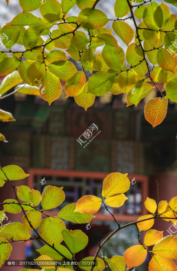 颐和园秋日风景