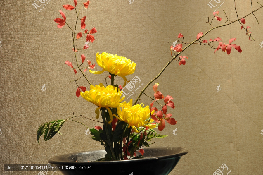 菊花展