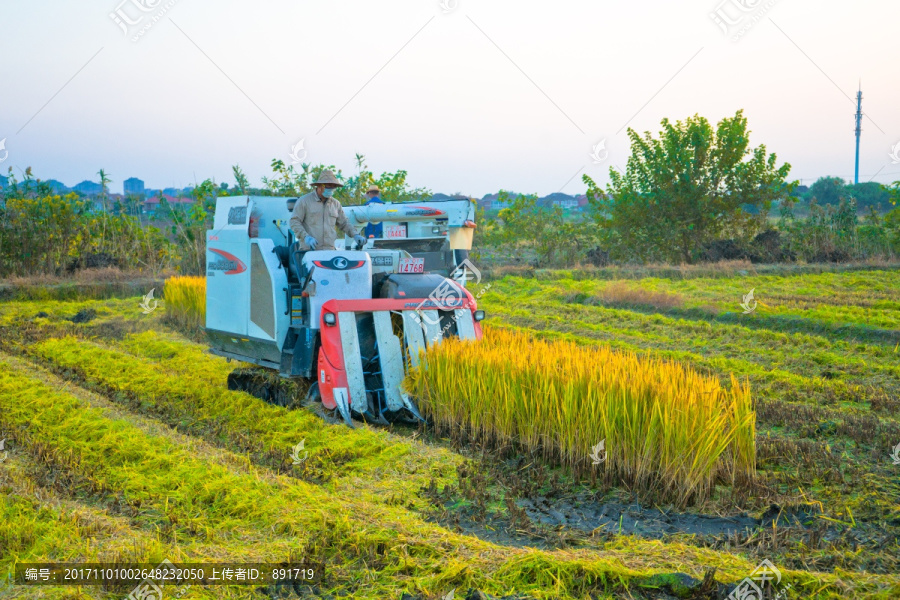 水稻收割机,久保田