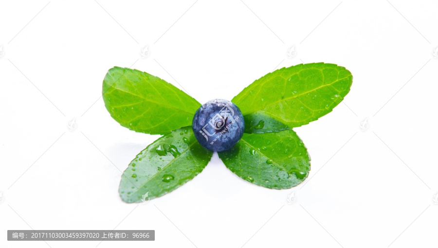 甜,蓝莓,新鲜,新鲜水果,蓝