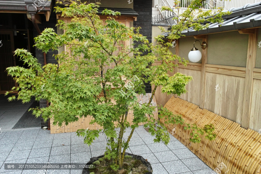 日本庭院设计