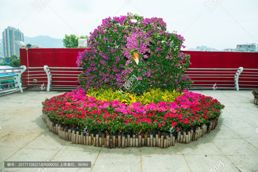 花,装饰造型