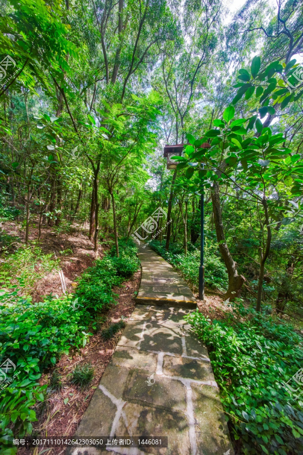 惠州飞鹅岭公园
