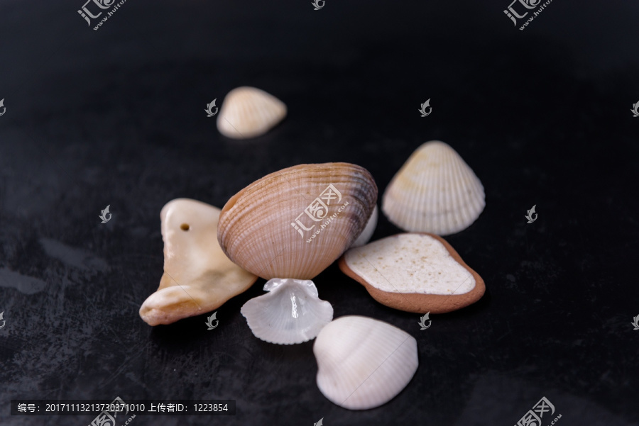贝壳