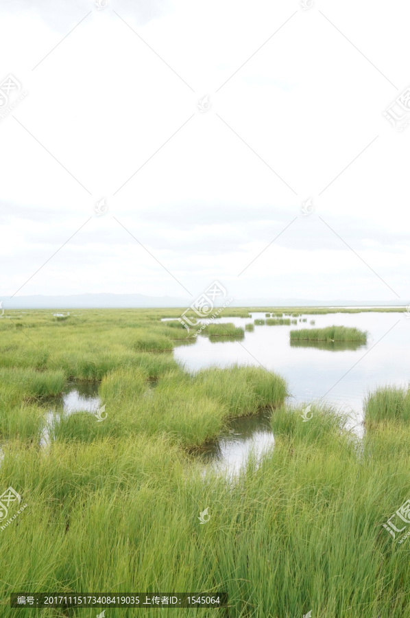 若尔盖大草原,花湖,风景摄影