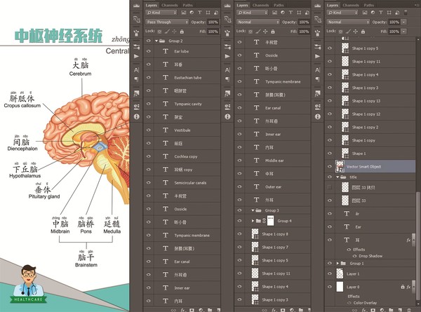 医学汉语教学挂图