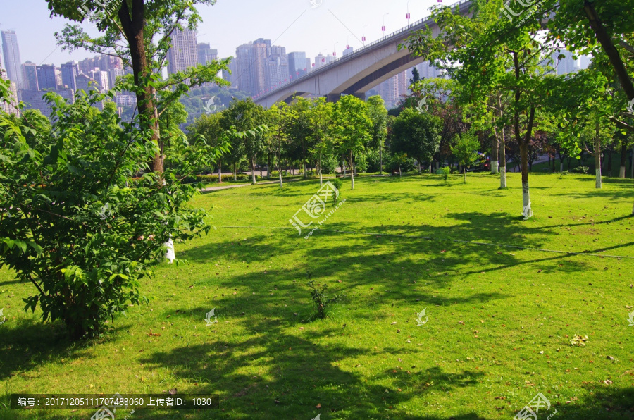 城市绿地,城市绿化,城市环境