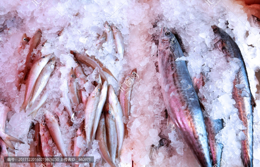 海鲜食材