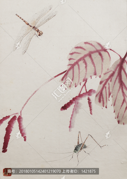 齐白石国画,花,蚂蚱与蜻蜓