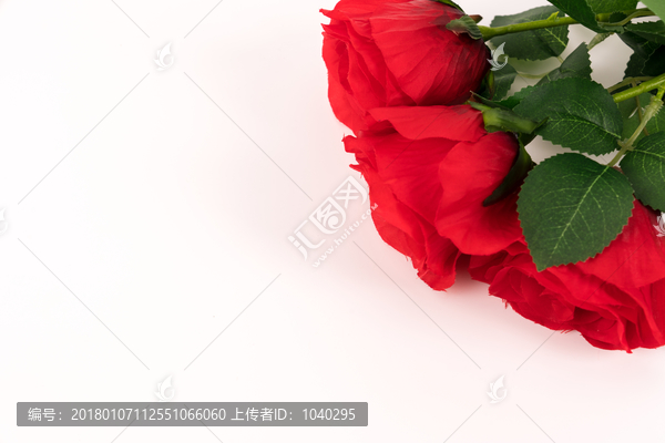 情人节玫瑰