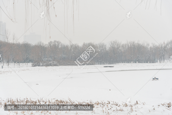 雪景