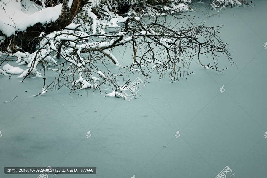 池塘卧枝雪景