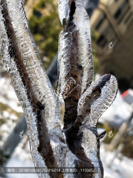 雪后初晴美如画,（33）