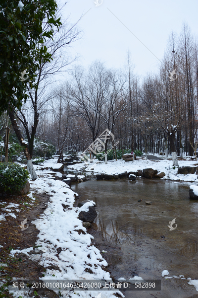 溪水雪景
