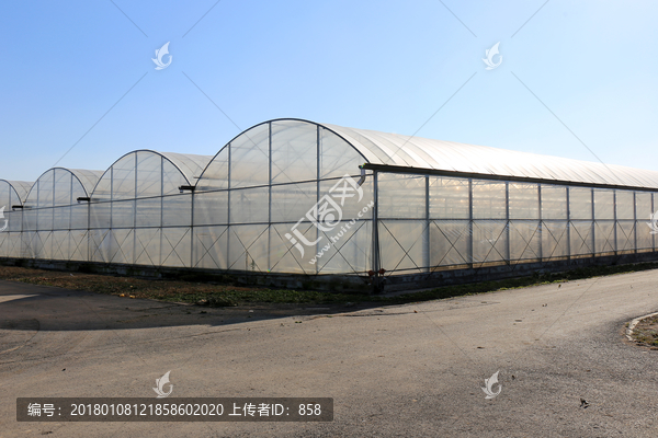 蔬菜温室大棚