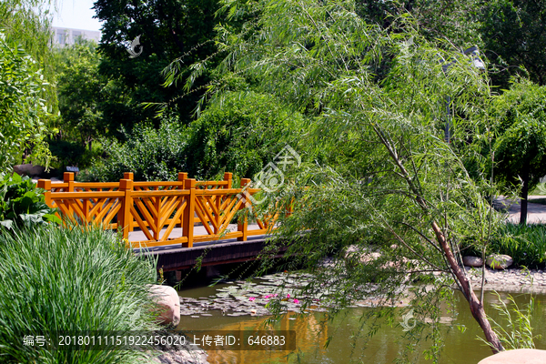 小桥,流水,公园