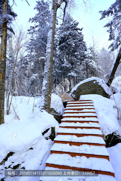 雾凇,冰雪风光,雪景,蓝天白云