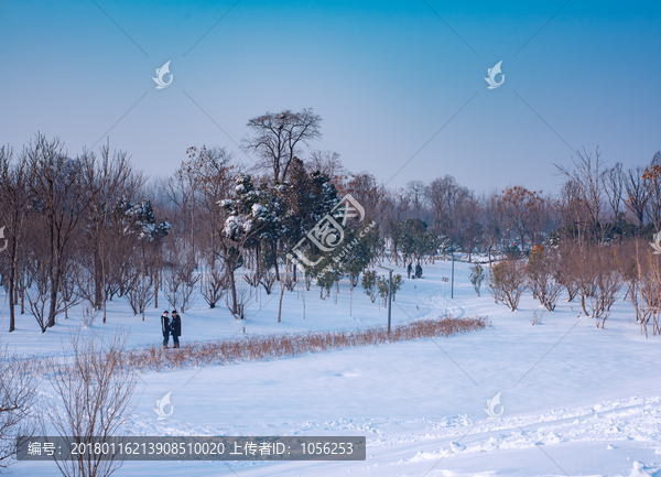 雪景