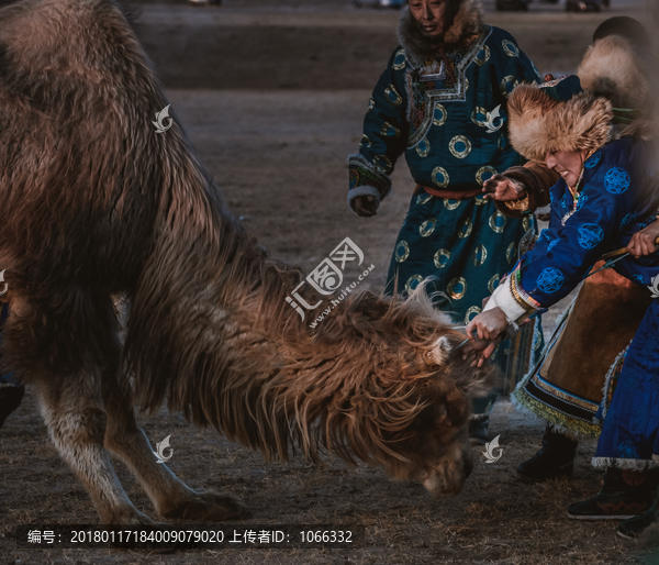 西乌珠穆沁旗冰雪文化节