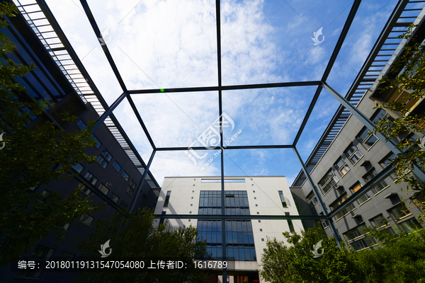 天津财经大学,钢结构