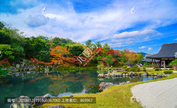 夏天晴朗天空的公园