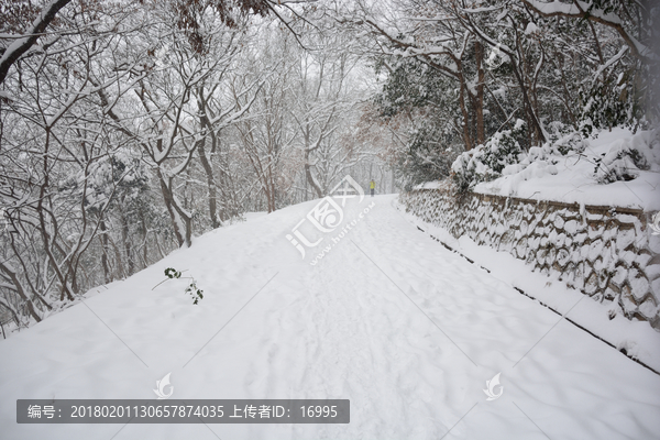 南京紫金山雪景