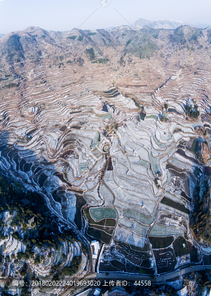 温州茗岙梯田雪景全景图