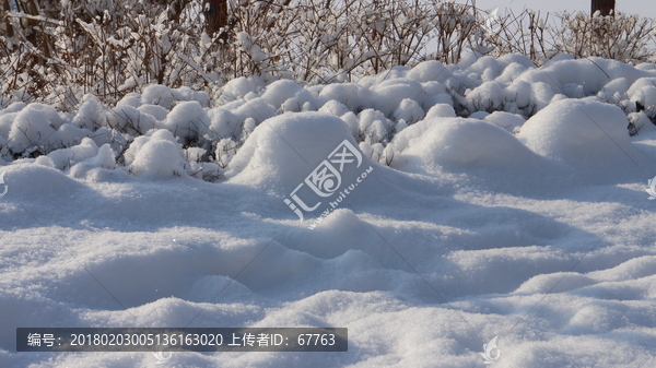 雪地