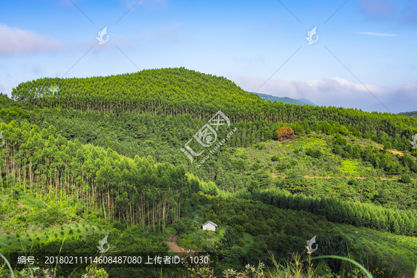 乡村风光