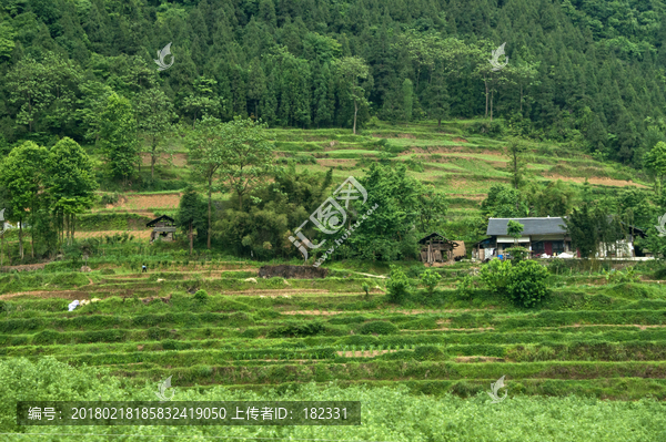 山脚下的山村