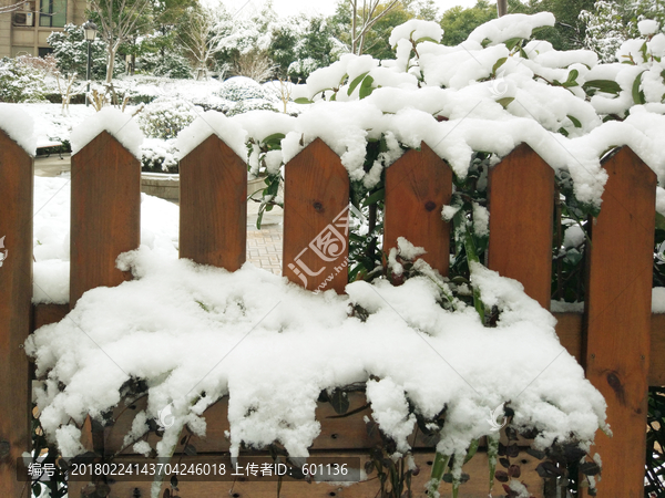 花园雪景