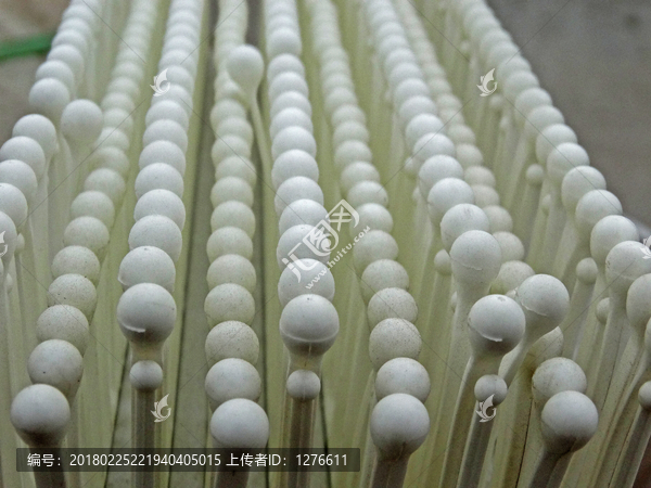 旱雪毯