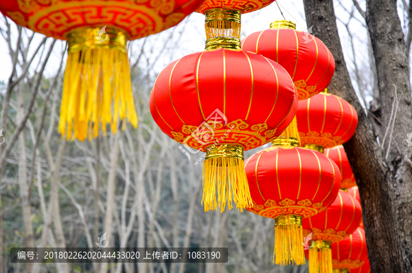 大红灯笼高高挂